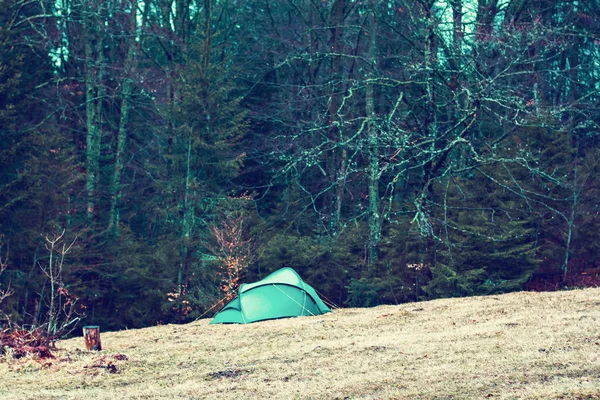 Tält på ett fält i en skog i bergen. — Stockfoto