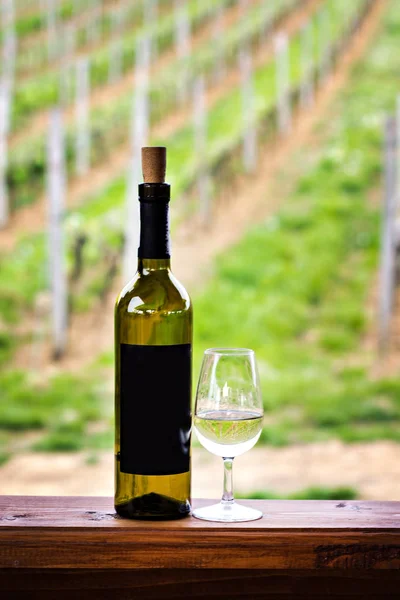 Okulary i butelkę wina. Degustacja wina w winnicy. — Zdjęcie stockowe