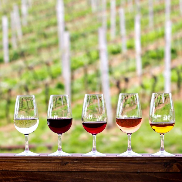 Gözlük şarap ile. Kırmızı, pembe, beyaz gözlük şarap. 