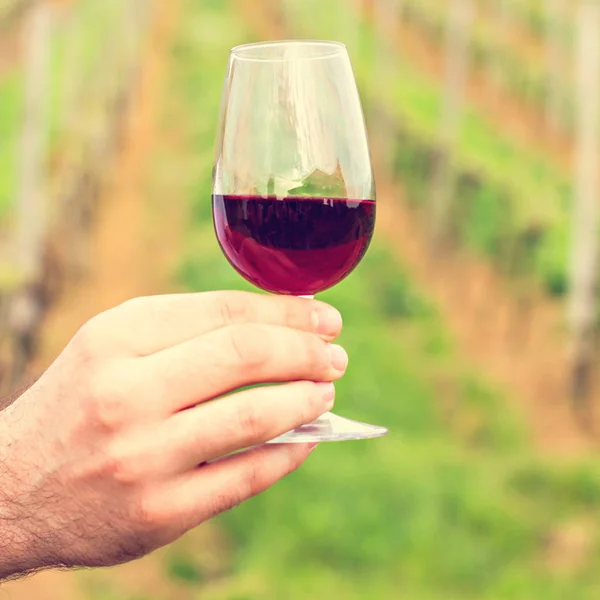 Um copo de vinho tinto na mão de um homem — Fotografia de Stock