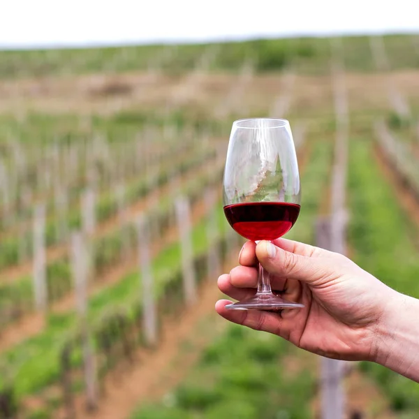 Um copo de vinho tinto na mão de um homem — Fotografia de Stock