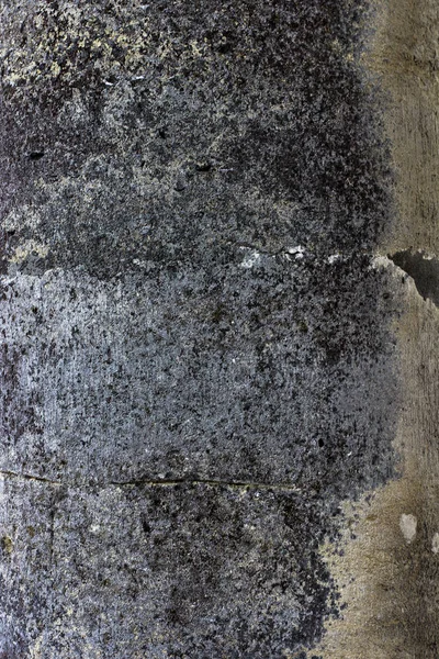 Stary beton. Tło. — Zdjęcie stockowe