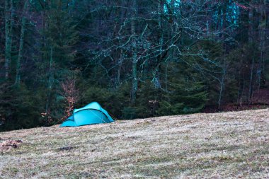 Dağlarda bir orman alanına çadır.