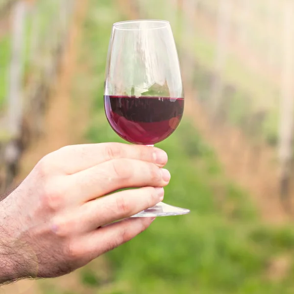 Bir adamın elinde bir kadeh kırmızı şarap. — Stok fotoğraf