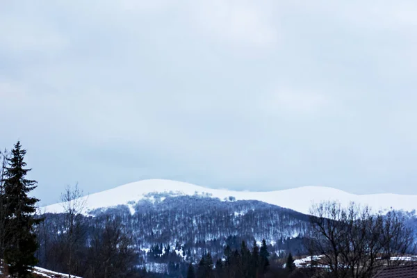 Peisaj de iarnă în munți. Carpații . — Fotografie, imagine de stoc