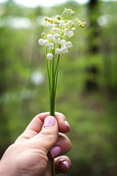 A bouquet of lilies of the valley in a woman's hand. — Stock Photo, Image