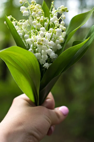 A bouquet of lilies of the valley in a woman's hand.