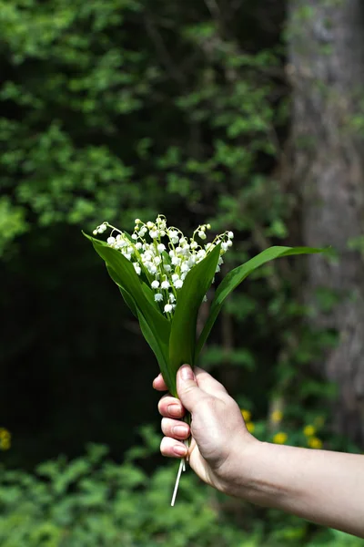 Un bouquet de lis de la vallée dans la main d'une femme . — Photo