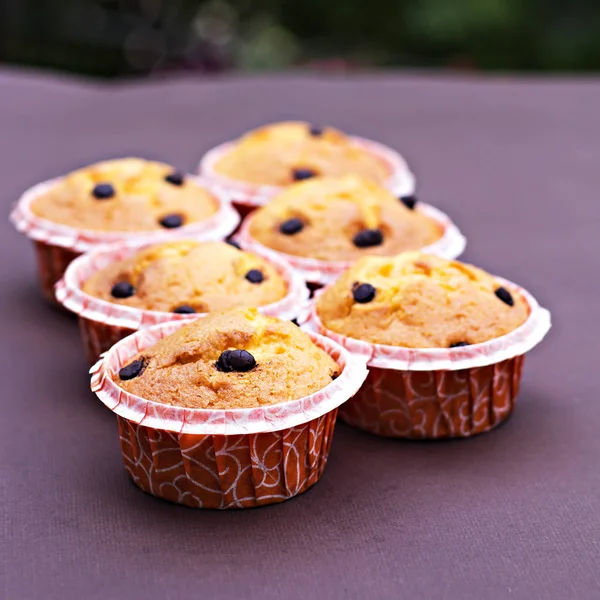 Magdalenas de vainilla caseras con gotas de chocolate . —  Fotos de Stock