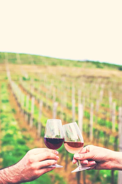 Bir erkek ve bir kadın şarap gözlük ile kontrol edin. Gözlüklü kadın ve erkek elinde kırmızı şarap. şarap tadımı, üzüm bağları. — Stok fotoğraf