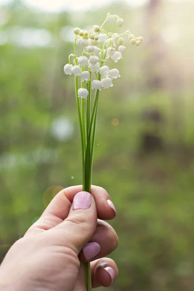 A bouquet of lilies of the valley in a woman's hand. — Stock Photo, Image