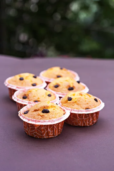 Magdalenas de vainilla caseras con gotas de chocolate . —  Fotos de Stock