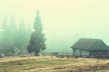 Dağ manzarası sis. dağ evinde. Karpat Dağları.