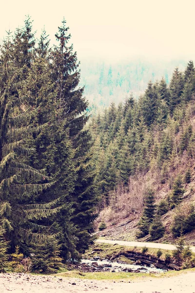 Aussicht in die Berge. Landschaft in den Bergen. — Stockfoto