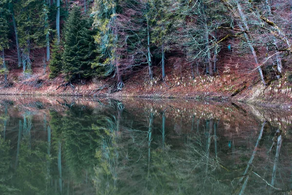 Lake Synevyr. — Stock Photo, Image