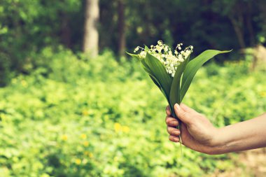Zambak vadideki bir kadının elinde bir buket.