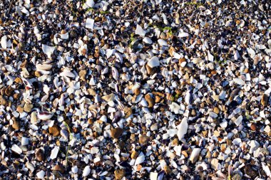 Çakıl plaj denize yakın. 