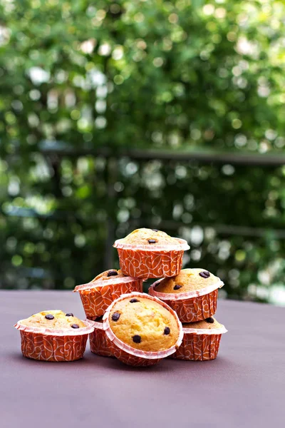 Domácí vanilkový cupcakes s kapkami čokolády. — Stock fotografie