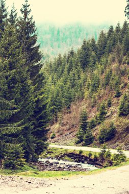 Dağlarda kez izlendi. Dağlarda manzara. 