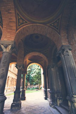 Sütun, öğeler Chernivtsi Üniversitesi'nde bina.