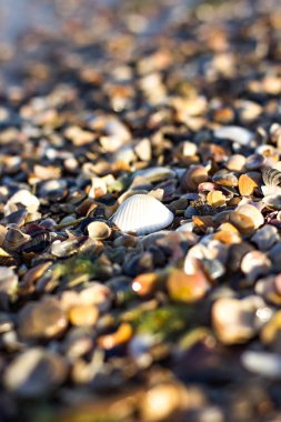 Çakıl plaj denize yakın. 