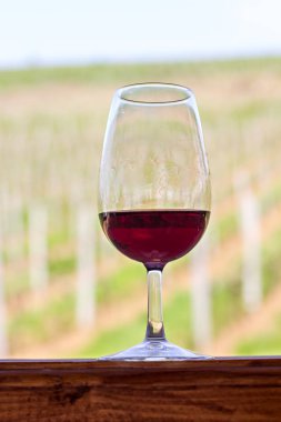 Bir bardak kırmızı şarap üzüm bağları çerçevede bir. 