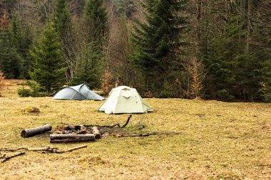 Dağlarda bir orman alanına çadır.