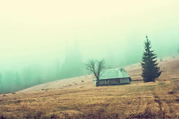 Hegyi táj a ködben. házat a hegyekben. Kárpátok. — Stock Fotó