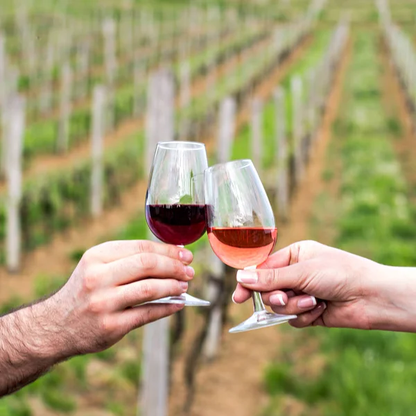 Um homem e uma mulher verificam com copos de vinho. Copos com vinho tinto nas mãos feminina e masculina. degustação de vinhos, vinhas . — Fotografia de Stock