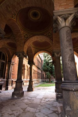 Sütun, öğeler Chernivtsi Üniversitesi'nde bina.