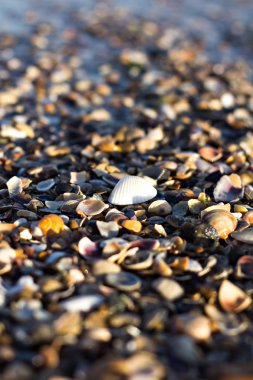 Çakıl plaj denize yakın. 