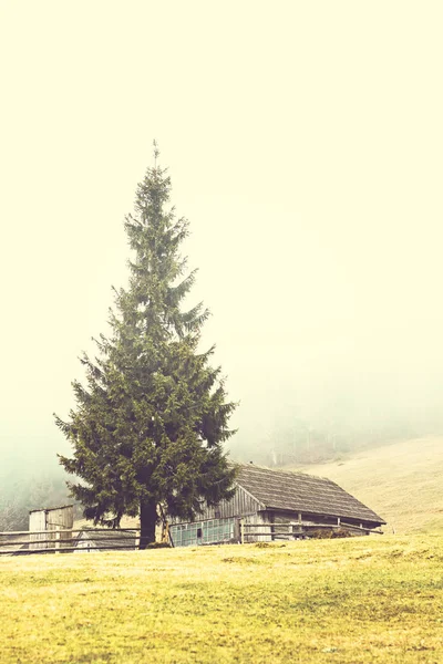 Góry krajobraz we mgle. Dom w górach. Karpaty. — Zdjęcie stockowe