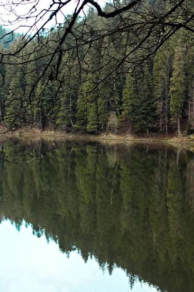 Jezero synevyr. — Stock fotografie