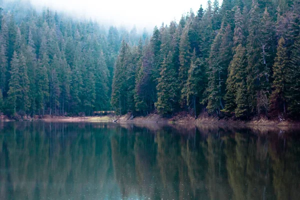 Lake Synevyr. — Stockfoto