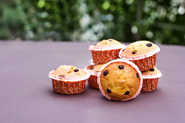 Cupcake alla vaniglia fatti in casa con gocce di cioccolato . — Foto Stock