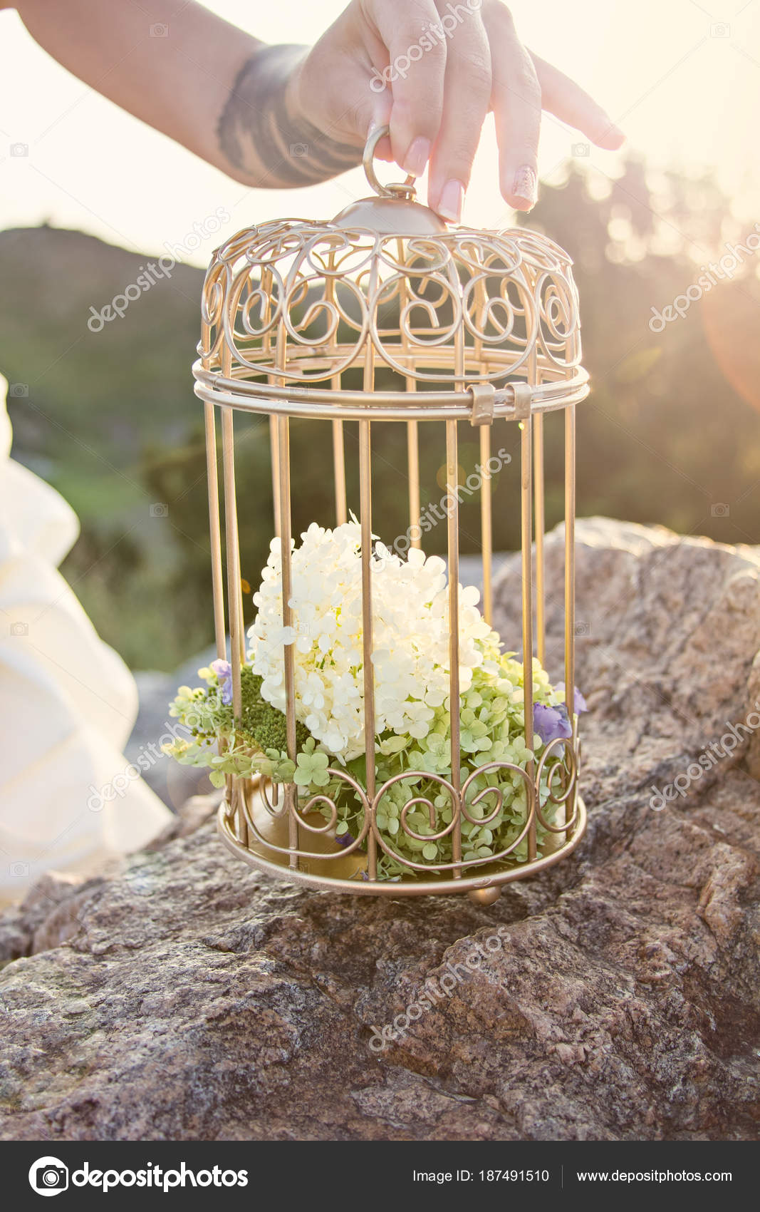 Cage Pour Oiseaux Avec Des Fleurs Decor Photographie