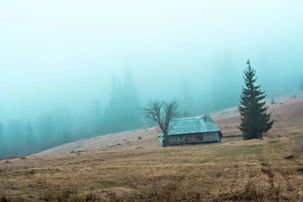 Horská krajina v mlze. Chata v horách. Karpaty. — Stock fotografie