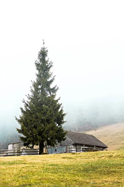Berglandschap in de mist. huis in de bergen. Karpaten. — Stockfoto