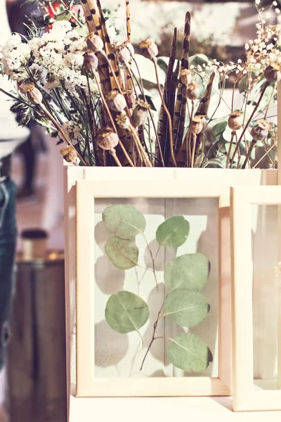 Flores y plantas secas en un marco . —  Fotos de Stock