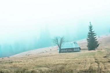 Dağ manzarası sis. dağ evinde. Karpat Dağları.