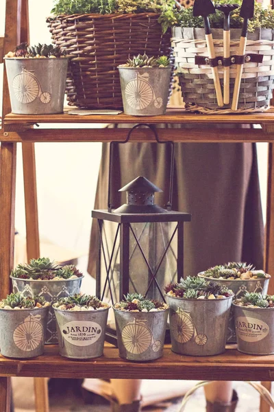 家の植物や燭台が付いている棚. — ストック写真