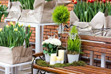 Ortanca Bahçe kompozisyonu. Bahçe Dekorasyon