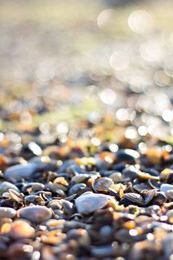 Çakıl plaj denize yakın. 