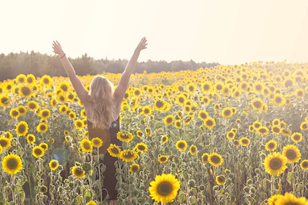Sonnenblumenfeld im Sonnenlicht. Mädchen, Rückansicht, auf dem Feld der Sonnenblumen. — Stockfoto
