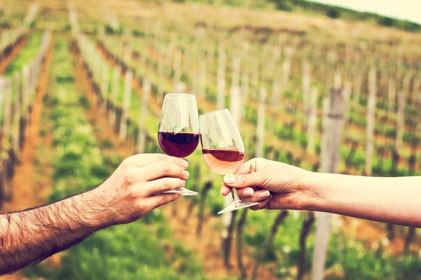 Um homem e uma mulher verificam com copos de vinho. Copos com vinho tinto nas mãos feminina e masculina. degustação de vinhos, vinhas . — Fotografia de Stock