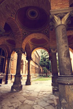 Sütun, öğeler Chernivtsi Üniversitesi'nde bina.