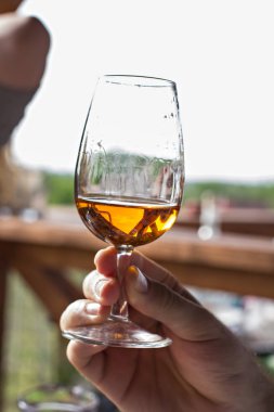 Şarap cam içine dökülür. Şarap tadımı.