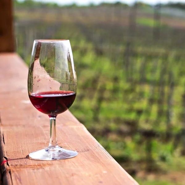 Bir bardak kırmızı şarap üzüm bağları çerçevede bir. — Stok fotoğraf