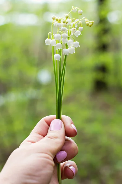 A bouquet of lilies of the valley in a woman's hand. — Stock Photo, Image