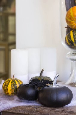 Balkabağı, Cadılar Bayramı için dekor. Cadılar Bayramı kartı, davetiye